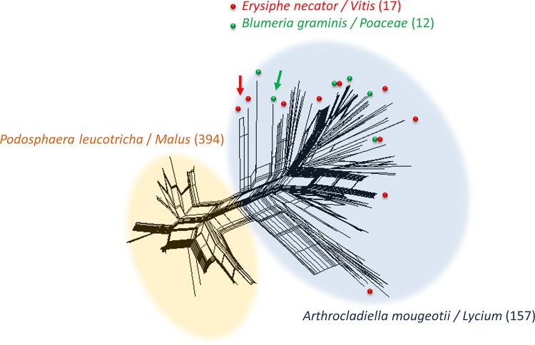 Fig 1