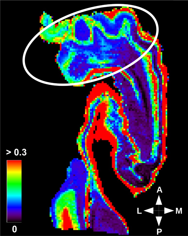 Fig. 9