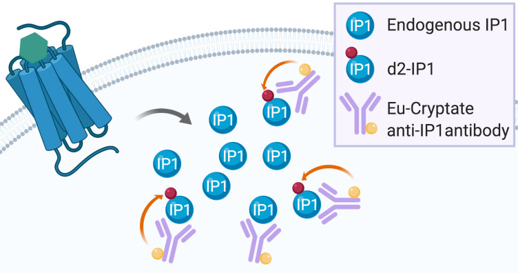 Figure 2.