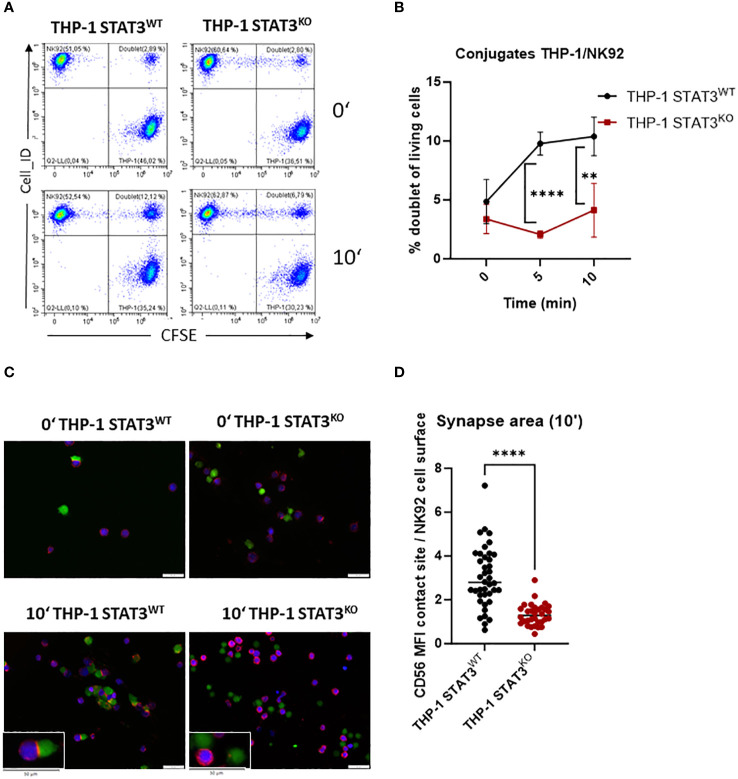 Figure 4