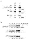 FIG 9