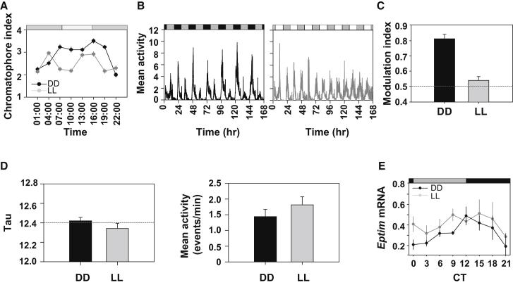 Figure 4