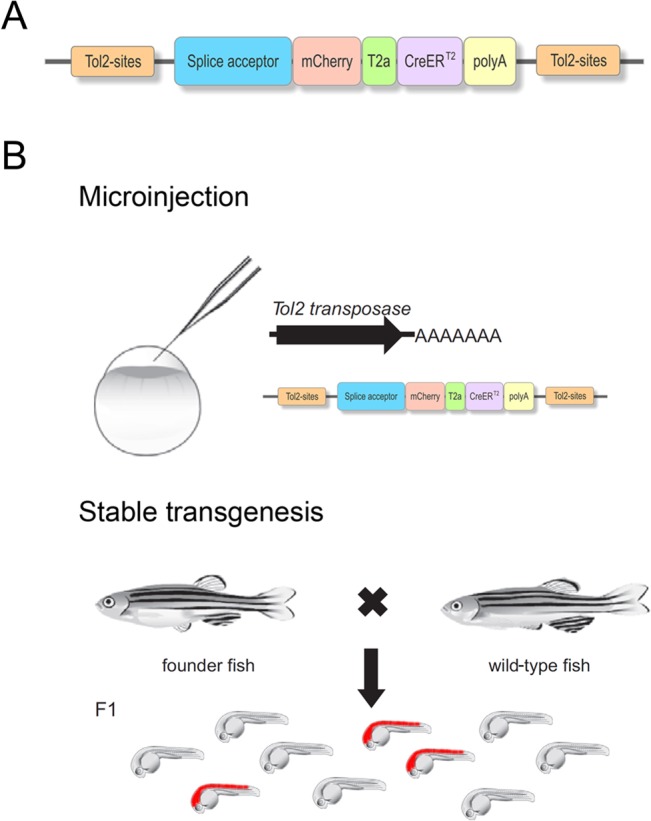 Fig 1