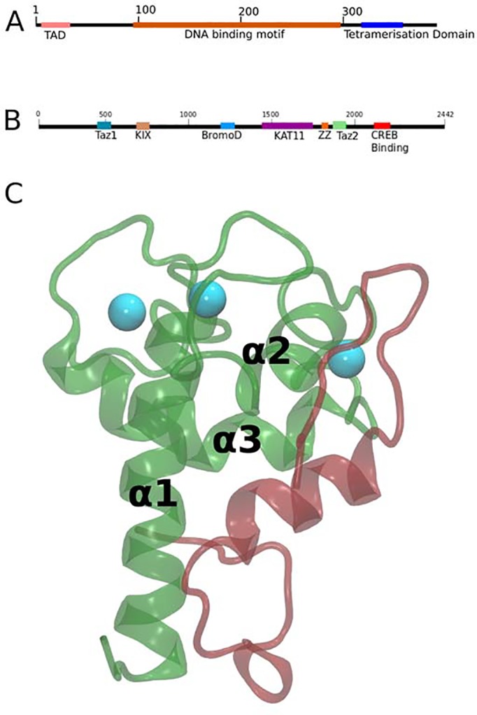 Fig 1