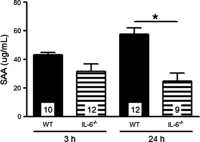 Fig. 4