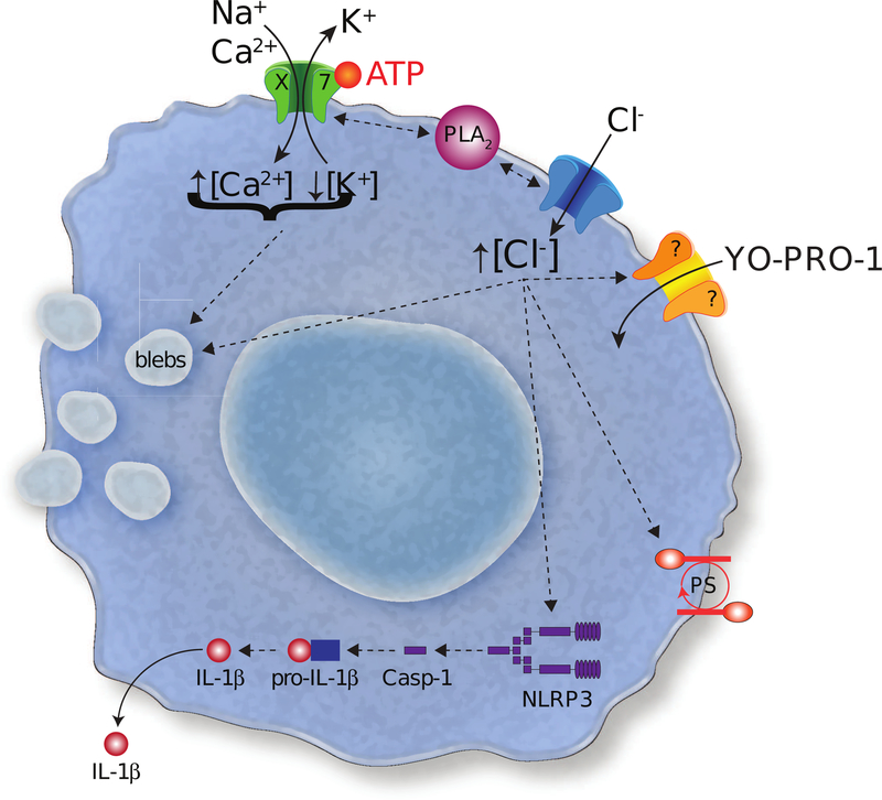 Figure 10.