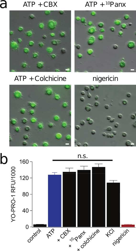 Figure 4.