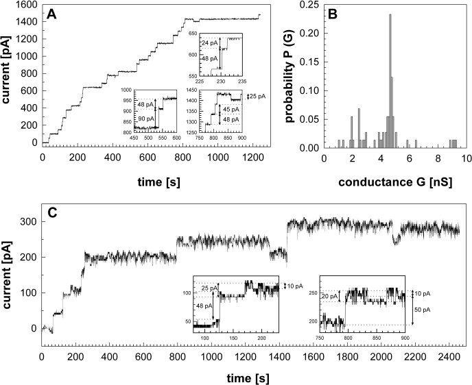 FIGURE 7.