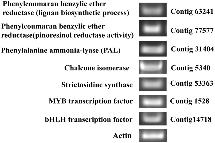 Figure 12