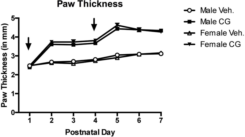 Figure 7.