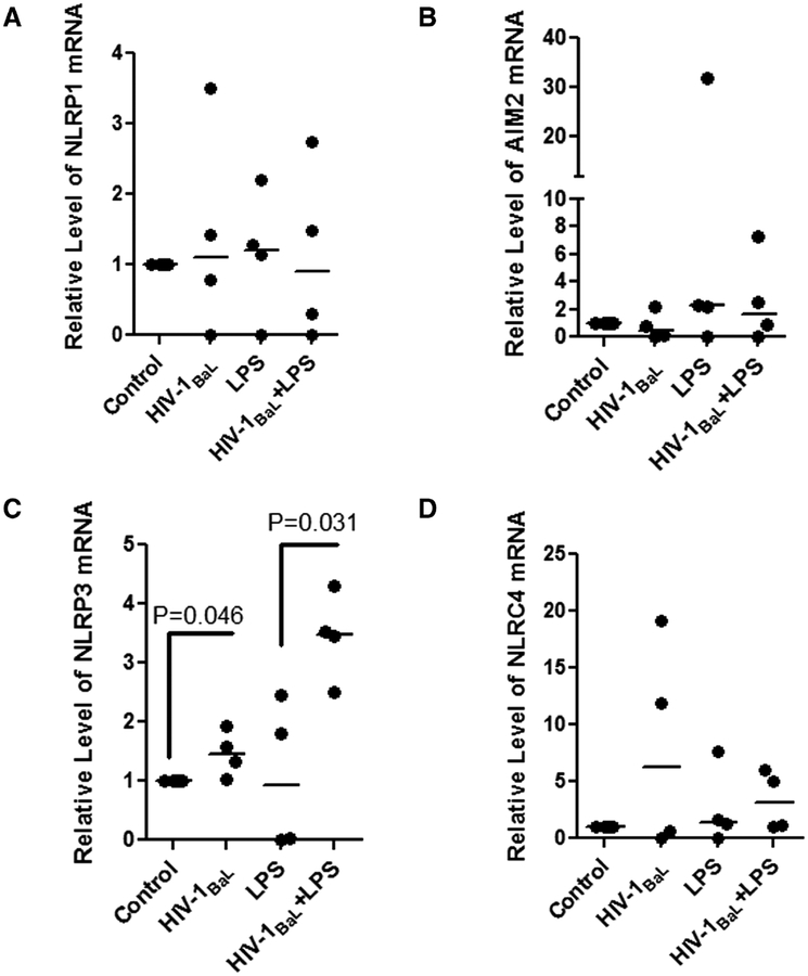 FIGURE 4