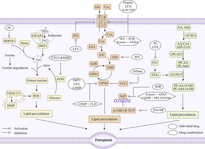 Fig. 4