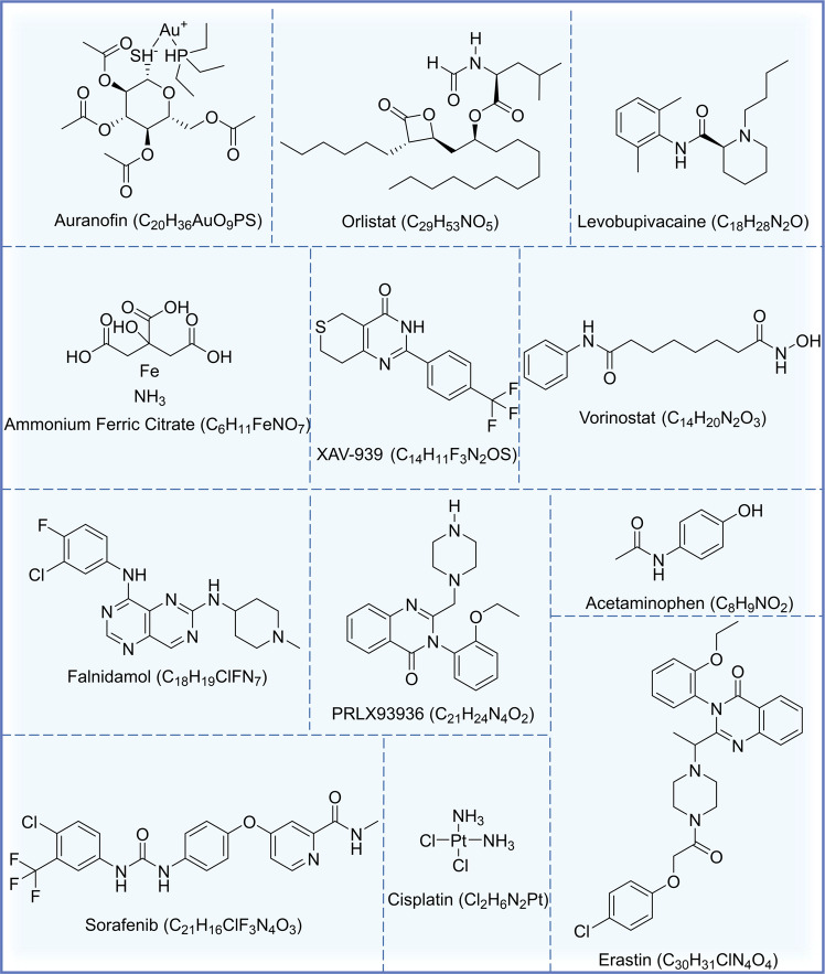 Fig. 3