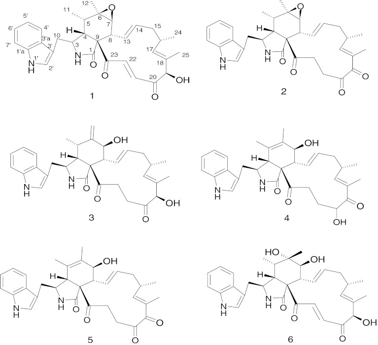 Fig. 2