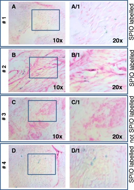 Fig. 6