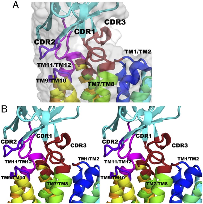 Fig. 3.