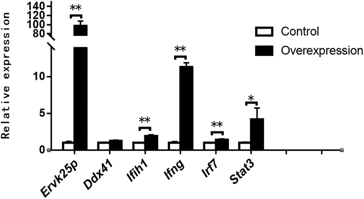 Figure 4