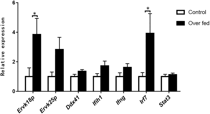 Figure 3