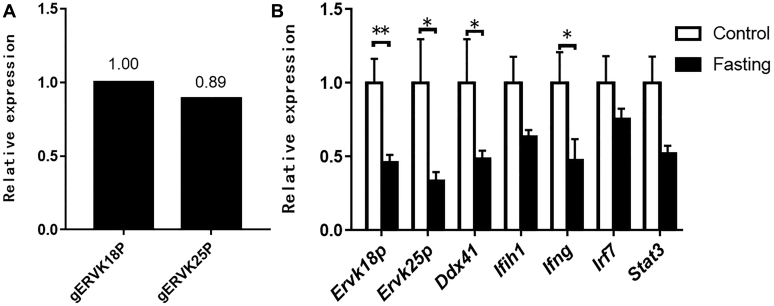 Figure 1