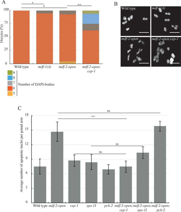 Fig 6