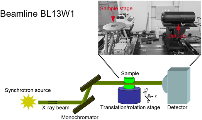 Figure 6