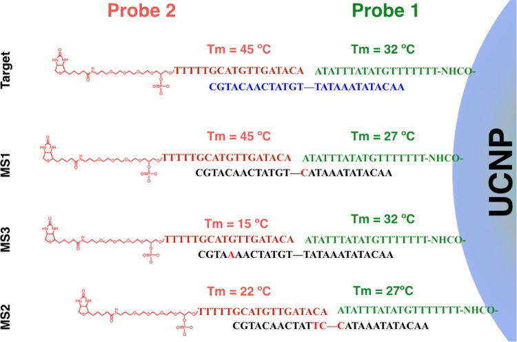 Scheme 3