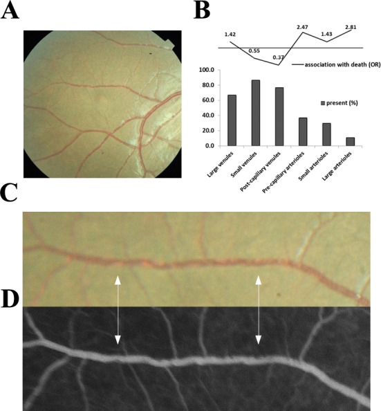 Figure 9.