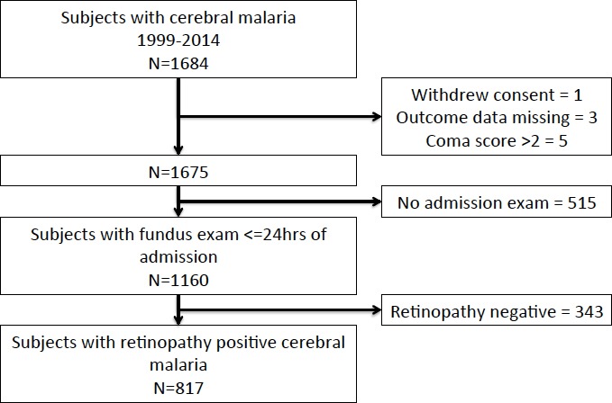 Figure 1—figure supplement 1.