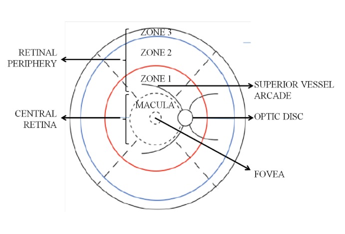 Appendix 2—figure 1.