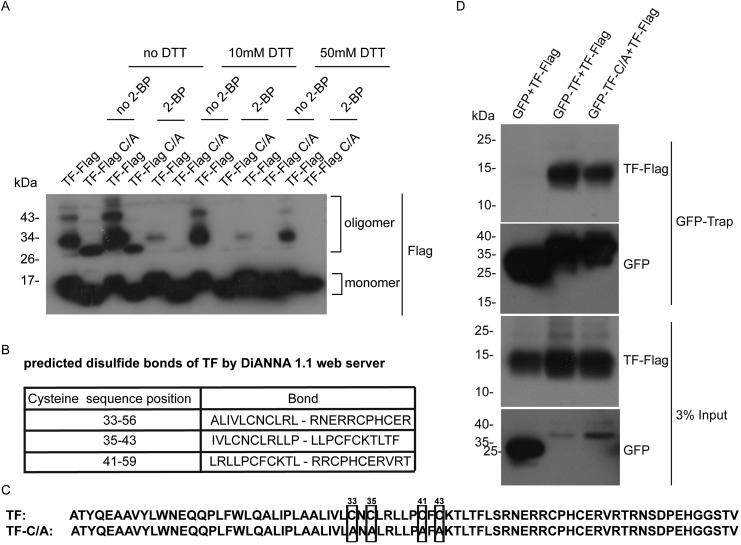 Fig. 3