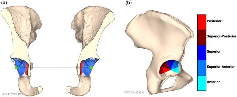 Fig. 5.