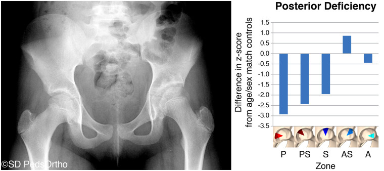 Fig. 6.