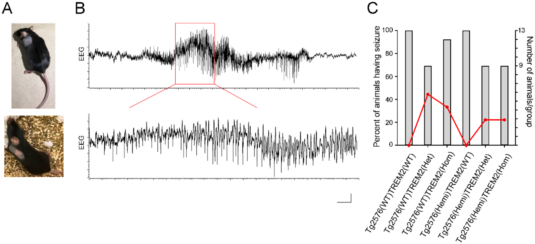 Fig.1