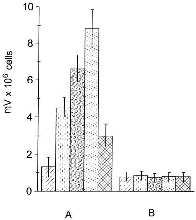 FIG. 6