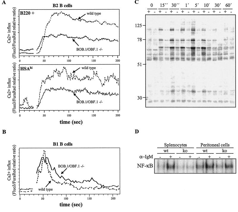 FIG. 8.