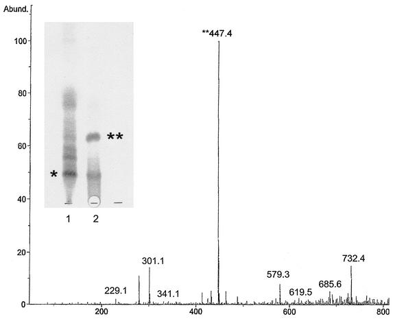 FIG. 5.