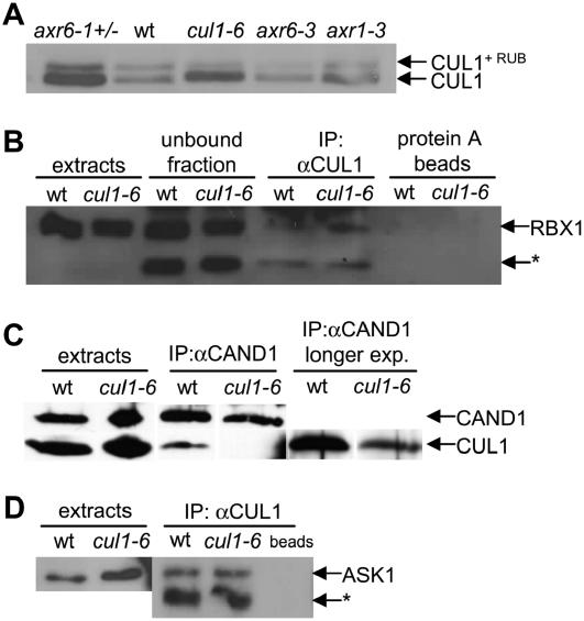 Figure 9.