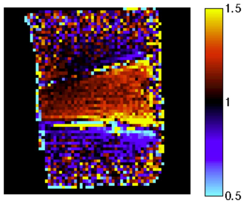 Fig. 11