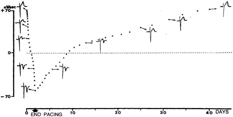 Fig. (12)