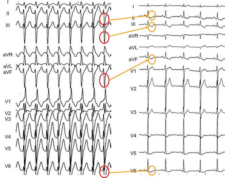 Fig. (3)