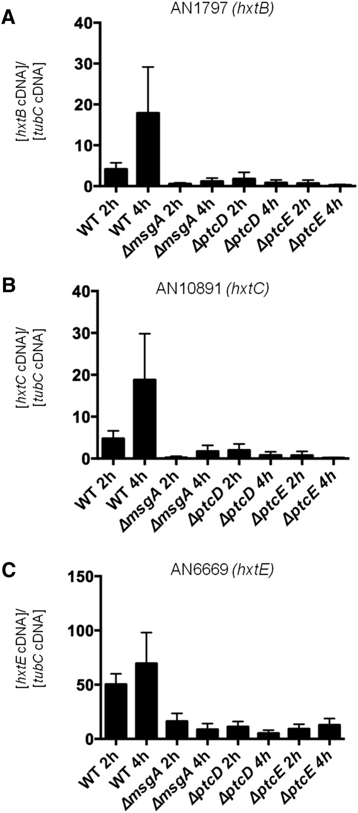 Figure 5