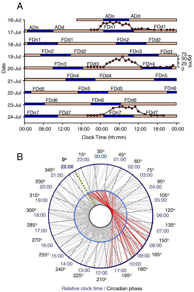 Fig. 1