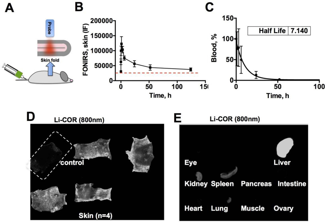 Fig. 4