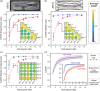 Testing structural consistency. The average COOP was computed at small (∼1 μm) and large (∼15 μm) scales for experimental cells (a) and model-generated networks (b). At each aspect ratio, experimental cells and model simulated networks were combined into a single group and the average COOP was computed (c). The COOP was recorded within each aspect ratio by comparing all possible cell-cell pairs (a, b, c insets). For the 3 μm length scale, networks generated by the model simulations were combined with experimental cells into a single group and the corresponding COOP values (dotted lines) were computed (d). The group containing only experimental data (solid lines) and the group containing only model networks (dashed lines) were also computed for comparison. This was repeated at both the small and large length scales (d, inset). The shaded areas designate the 95% confidence region for the experiment only group. Scale bars: 10 μm. All analysis was performed using previously published experimental data (see Refs. [8,38]) .