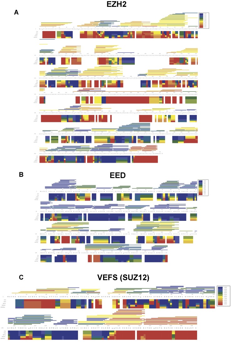 Figure 5—figure supplement 1.