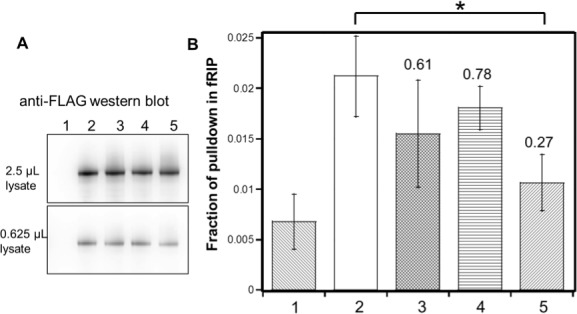 Figure 6—figure supplement 3.