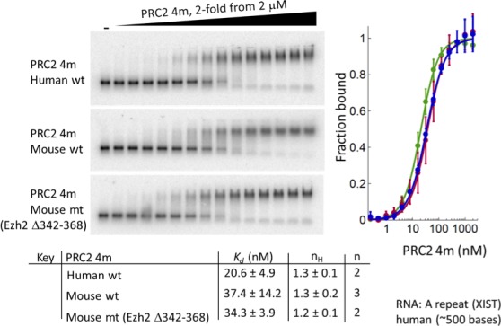 Figure 4—figure supplement 1.