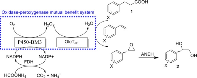 Scheme 1