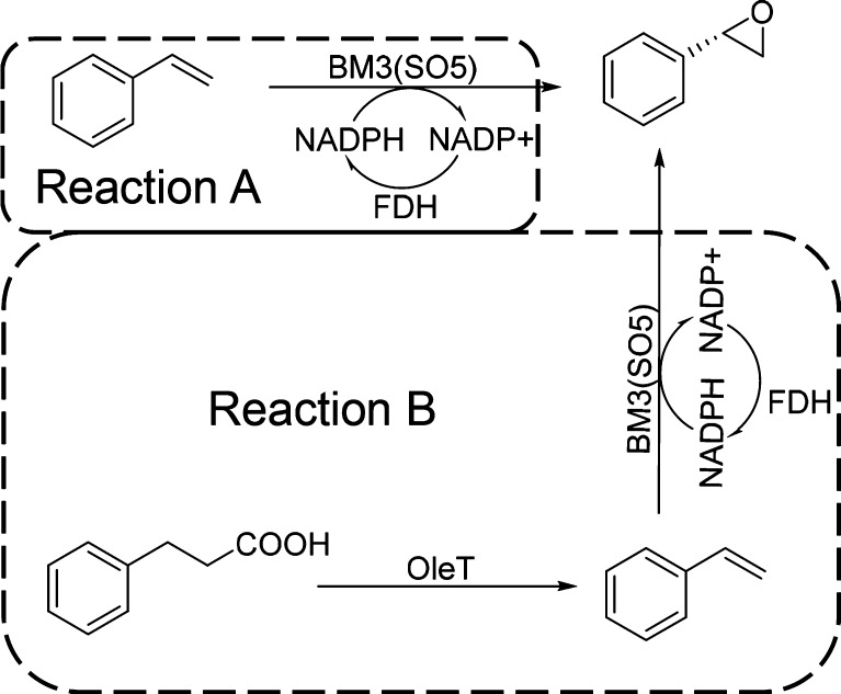 Scheme 2