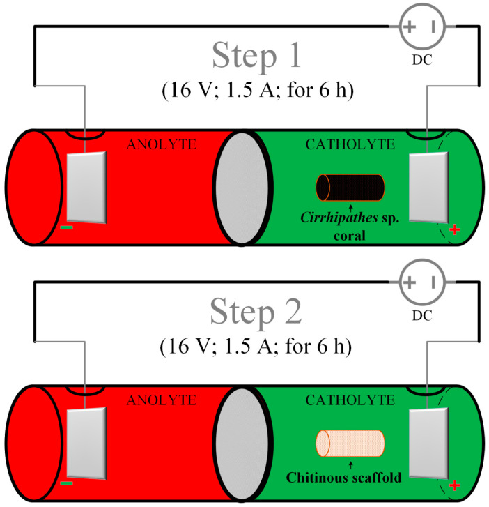 Figure 12